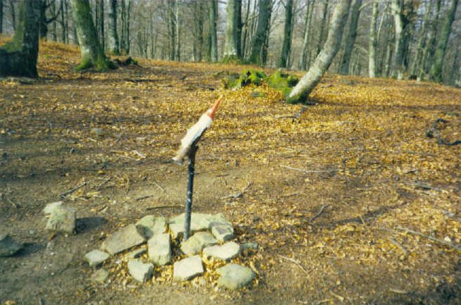 Tontorra