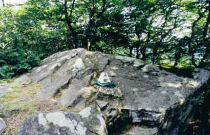 Tontorra