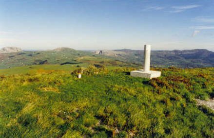 Tontorra