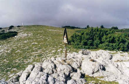 Tontorra