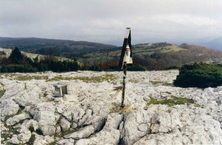 Tontorra