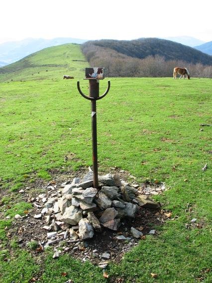 Buzoia eta tontorra