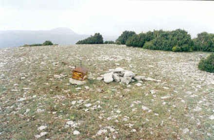 Tontorra