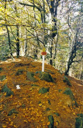 Tontorra