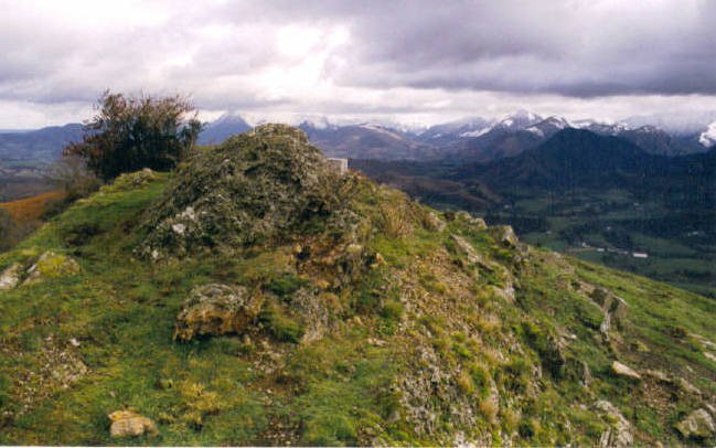 Tontorra