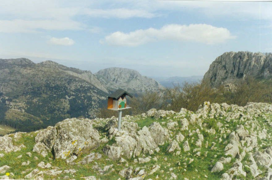 Izoztegi