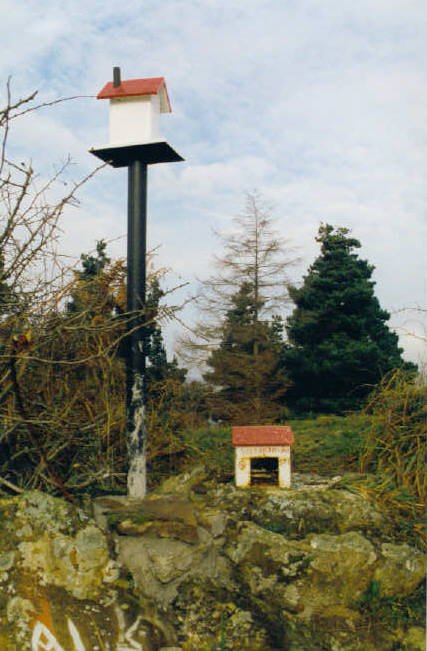 Tontorra