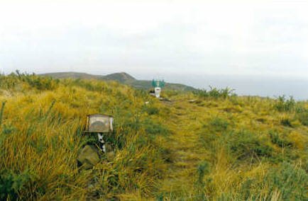 Tontorra