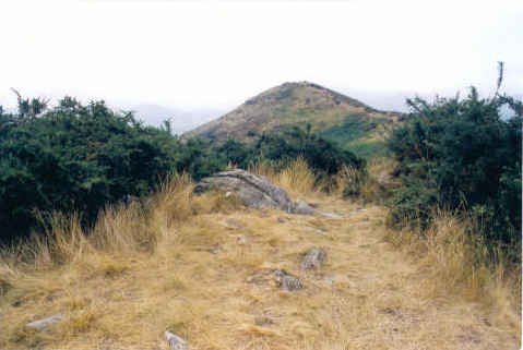 Tontorra