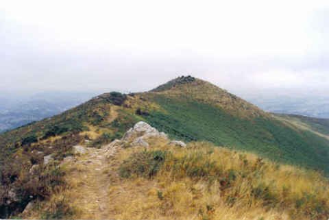 Tontotta