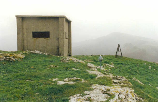Tontorra