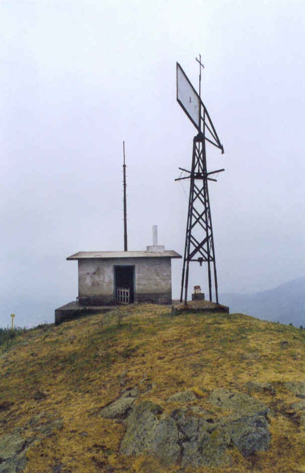 Intxorta tontorrean