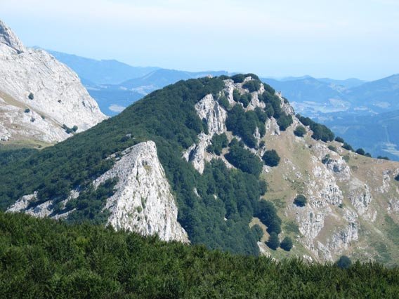 Orisoletik