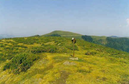 Tontorra