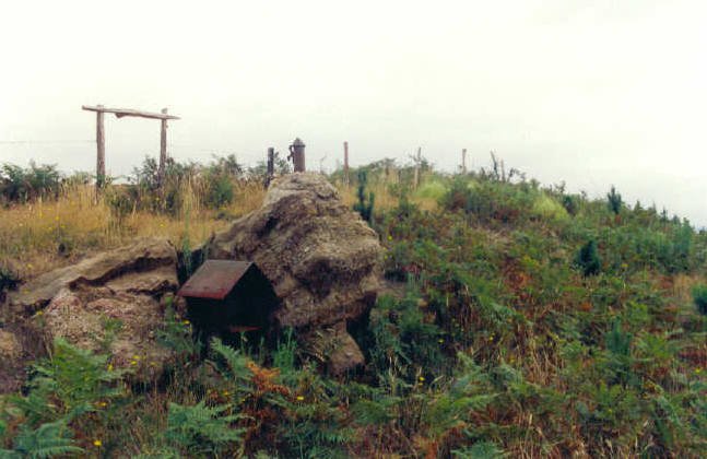 Tontorra