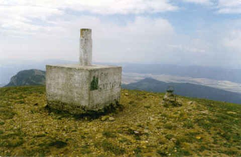 Tontorra