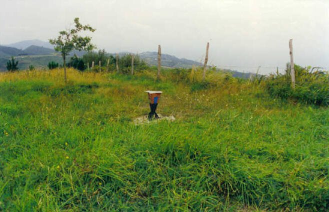 Tontorra