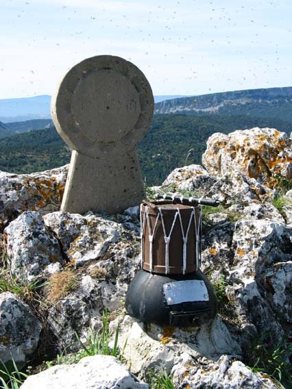 Buzoia