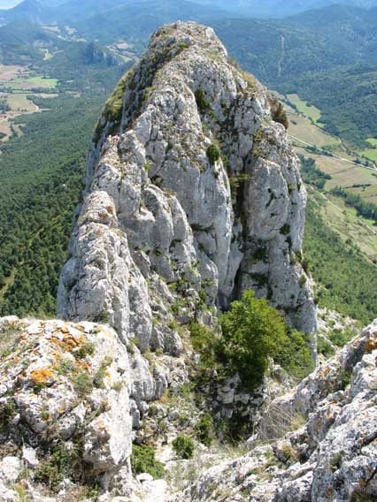 Ekialdeko ikuspegia