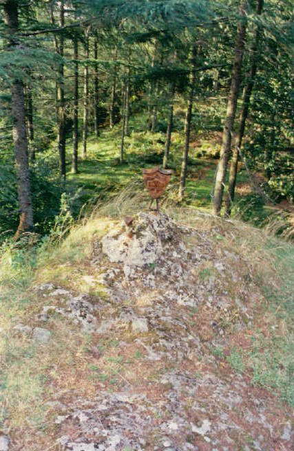 Tontorra