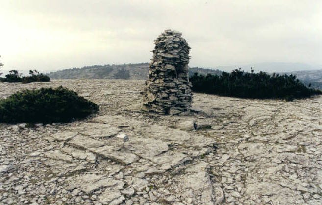 Tontorra