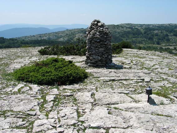 Tontorra