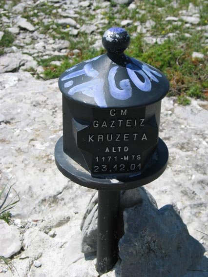Buzoia