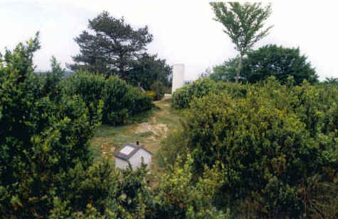 Tontorra