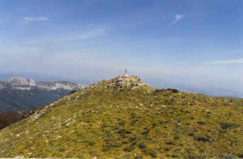 Tontorra