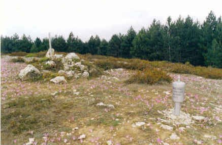 Tontorra