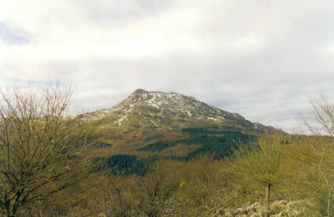 Zanburutik