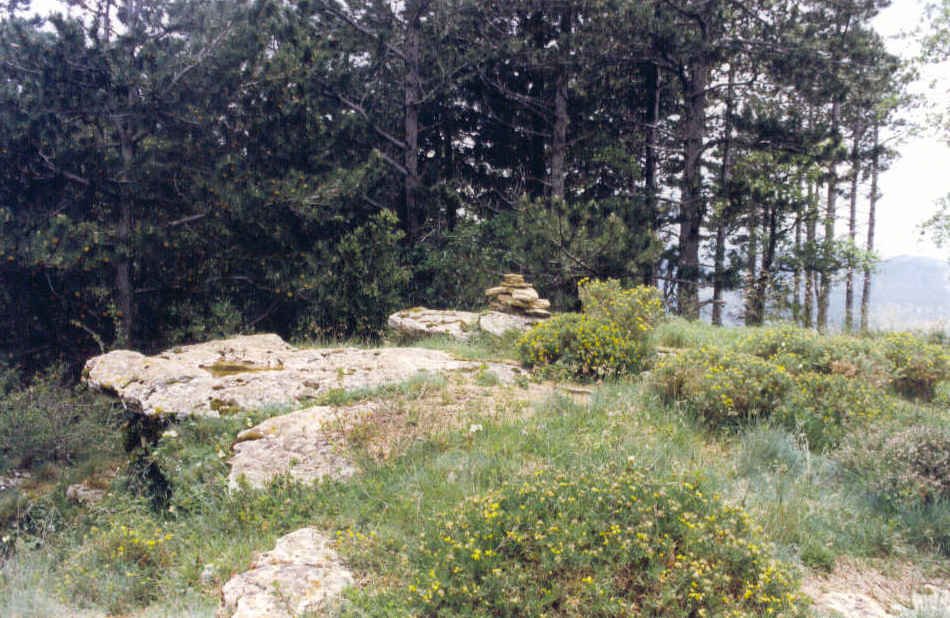 Tontorra