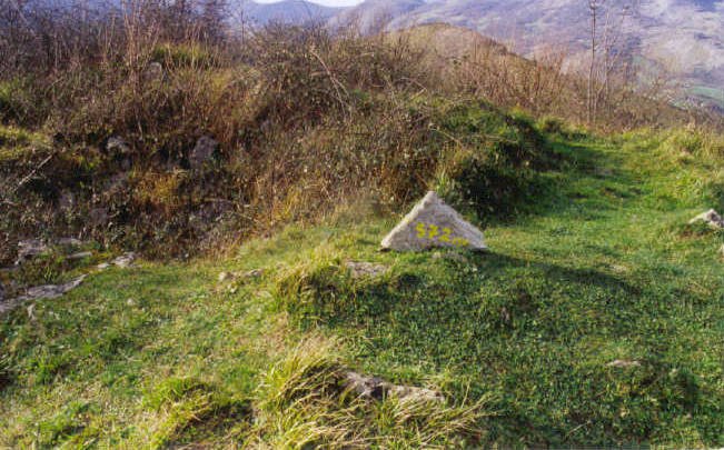 Tontorra