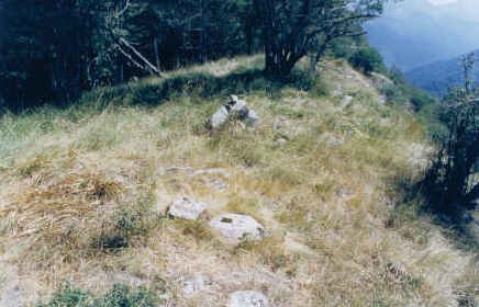 Tontorra