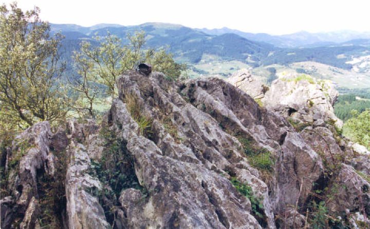 Tontorra