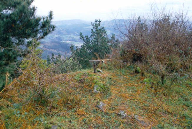 Tontorra
