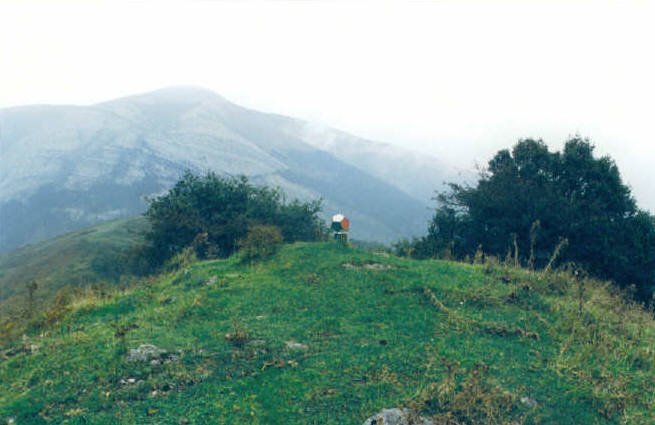 Tontorra