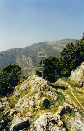Tontorra