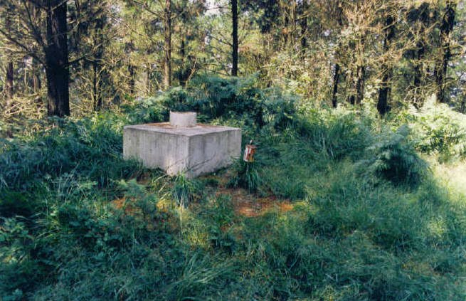 Tontorra