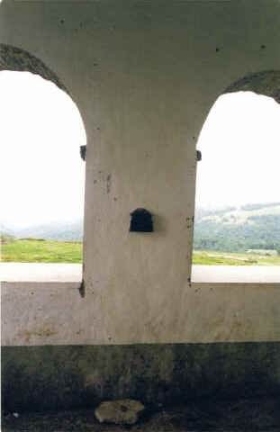 Buzoia