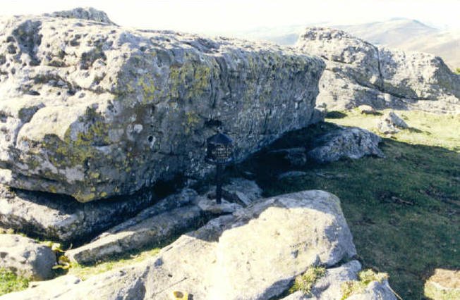 Tontorra