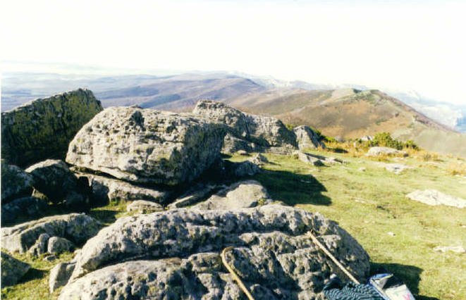 Tontorra