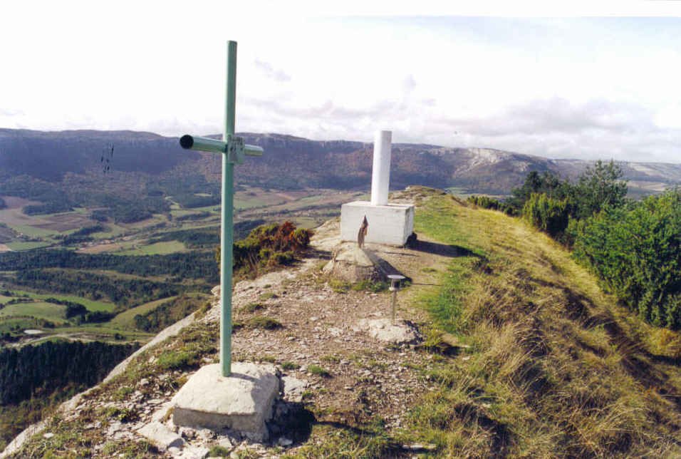 Marinda tontorrean