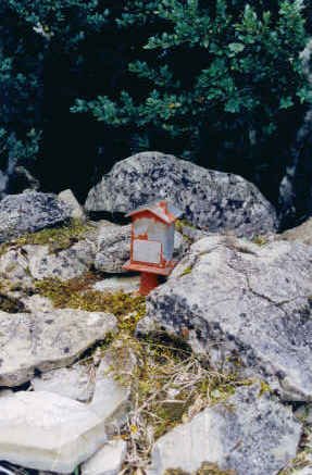 Buzoia