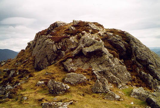 Tontorra