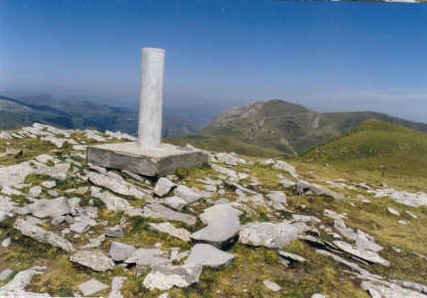 Tontorra