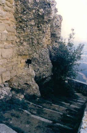 Buzoia
