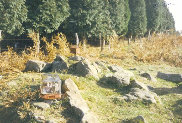Tontorra 1