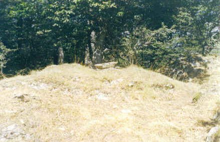 Tontorra