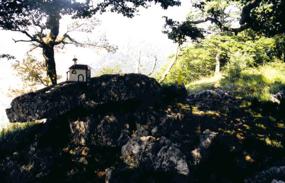 Murube tontorrean